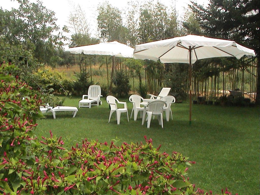 Agriturismo Vigna Mai Magliano in Toscana Exterior foto